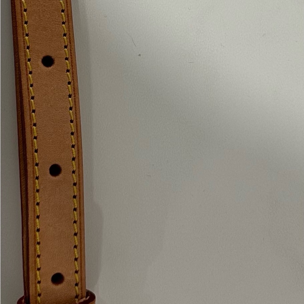 Louis Vuitton Pouchette with Cross Body Strap - Picture 11 of 15